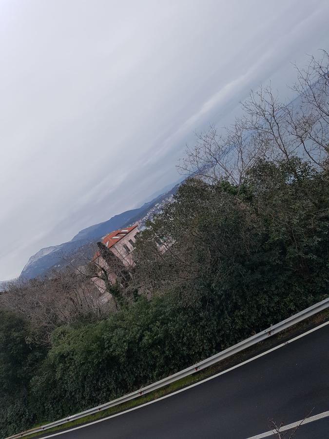 Puntabella